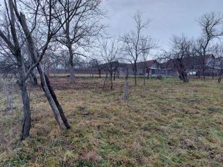 immobilienmakler rumaenien bauernhof grundstueck westkarpaten siebenbuergen apuseni gebirge 34 646